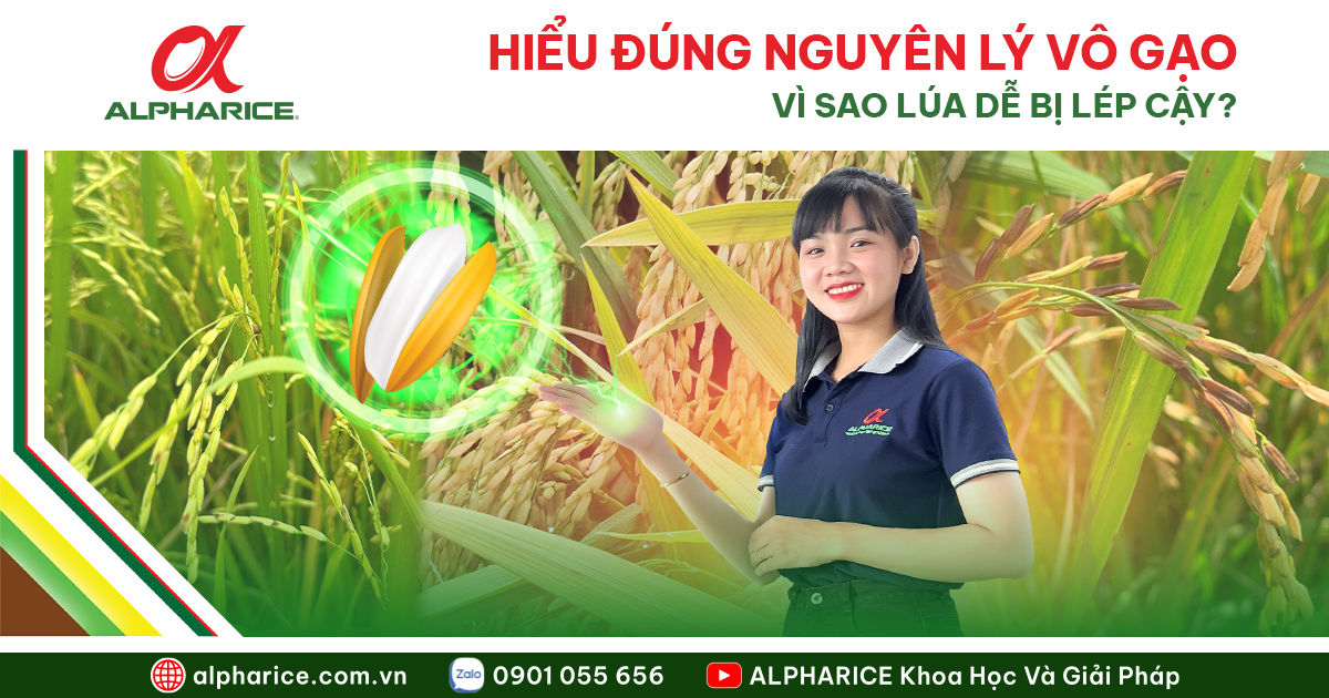 Nguyen li vo gao Web