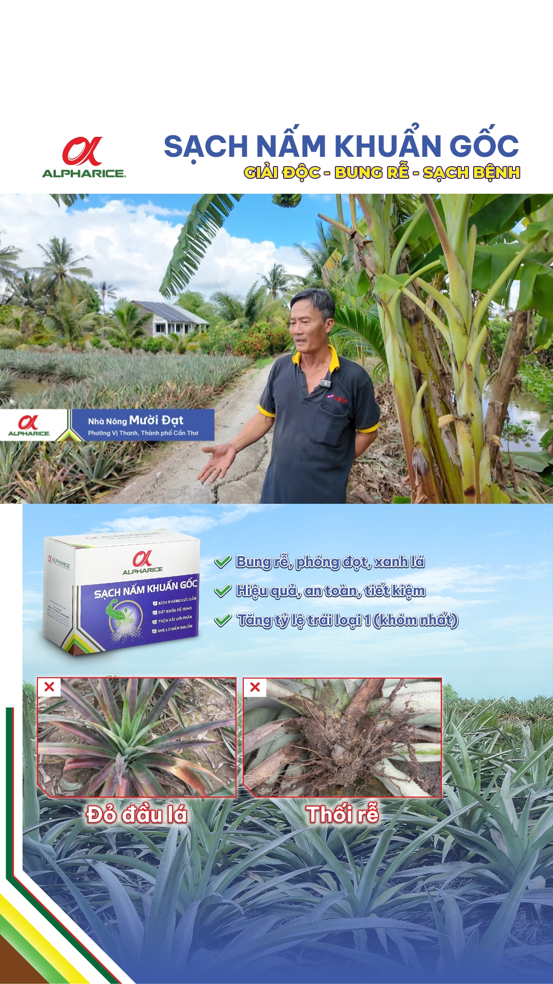 NHÀ NÔNG ĐÁNH GIÁ VỀ BỘ SẢN PHẨM SẠCH NẤM KHUẨN GỐC TRÊN KHÓM