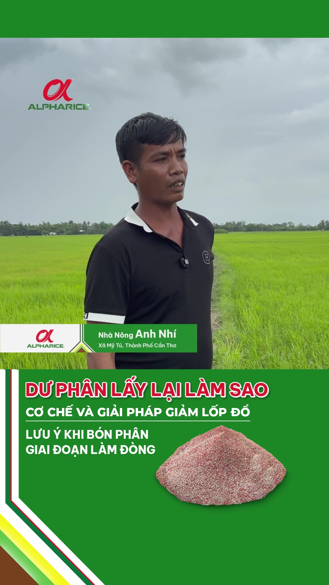 DƯ PHÂN LẤY LẠI LÀM SAO?