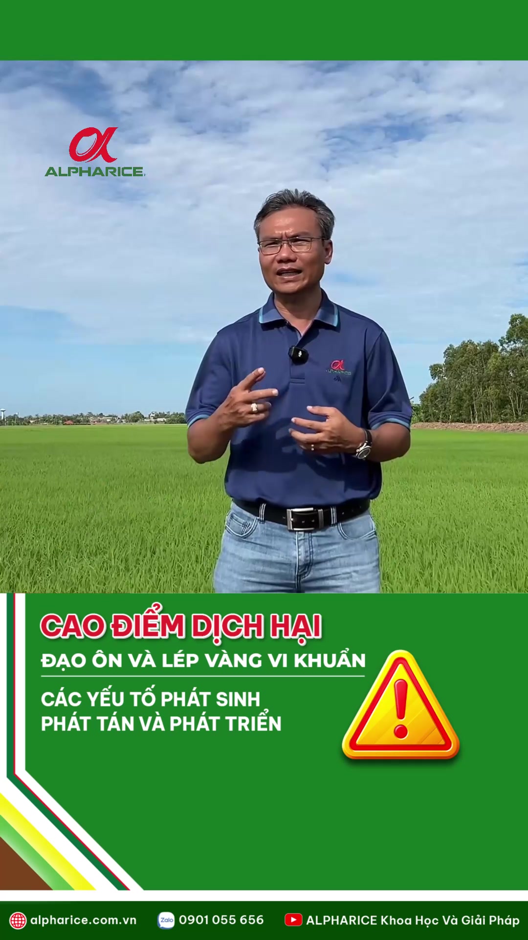 Dịch hại trong canh tác vụ Hè Thu và Thu Đông