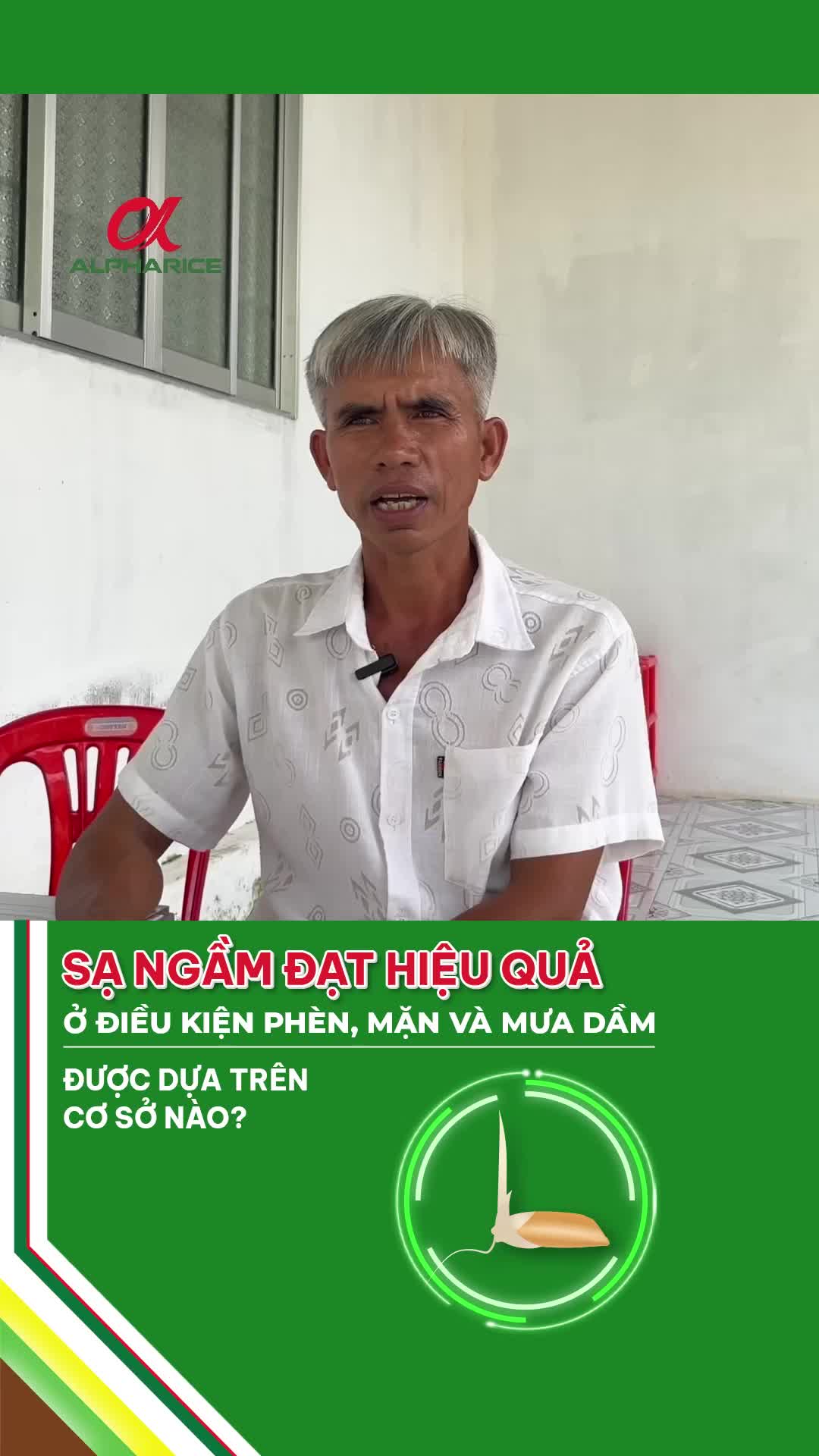 Sạ ngầm đạt hiệu quả dựa trên cơ sở nào?