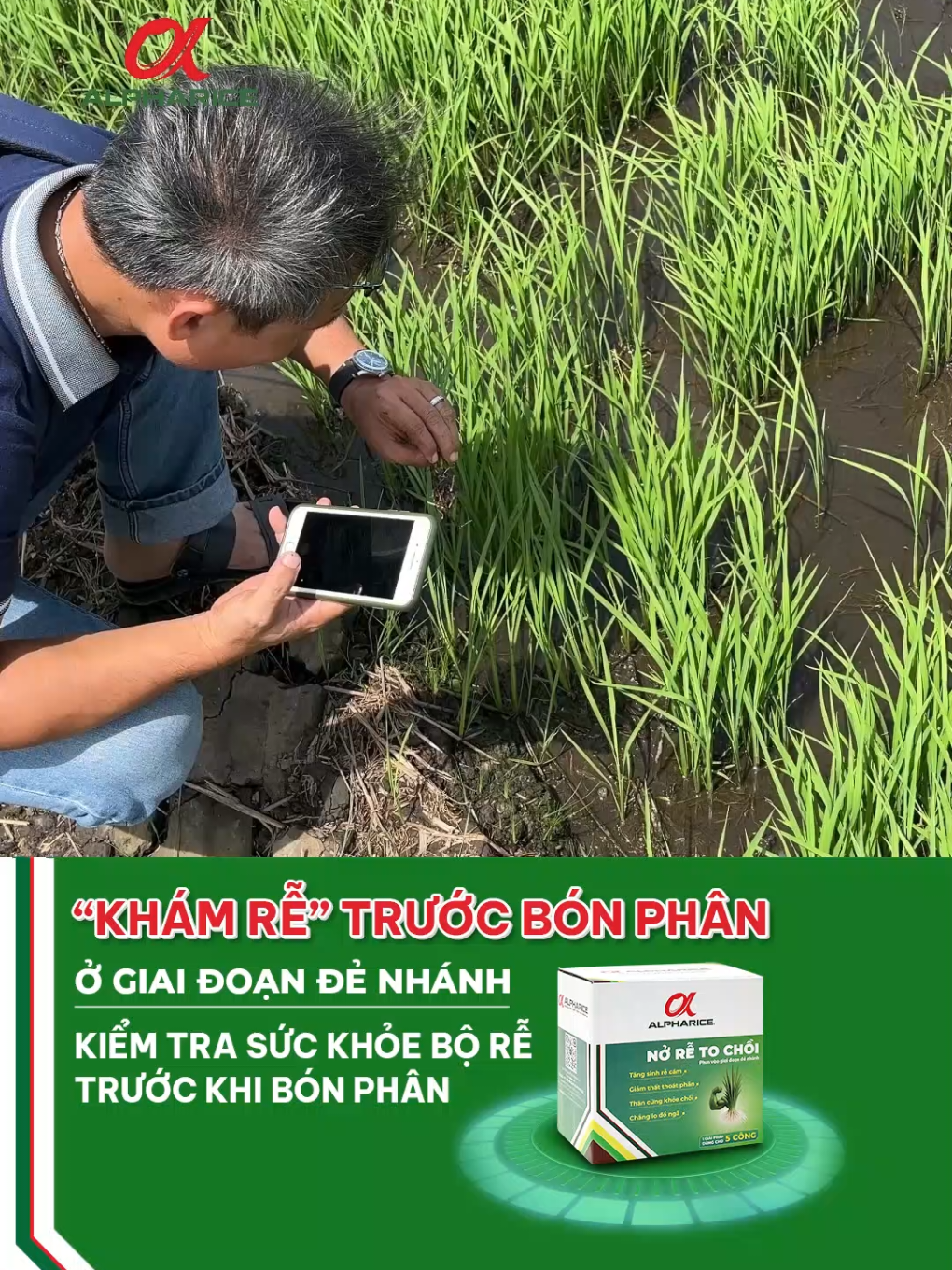 Kiểm tra rễ trước khi phân tích có thực sự cần thiết?