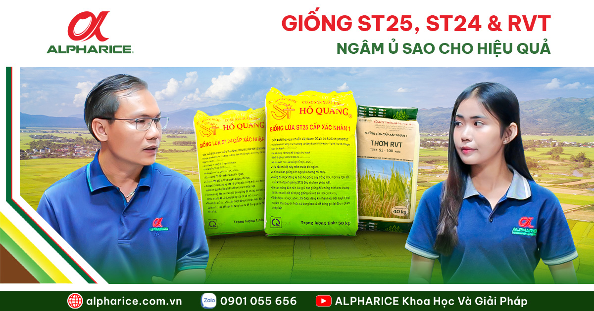 Website 14.11 Ngâm ủ giống