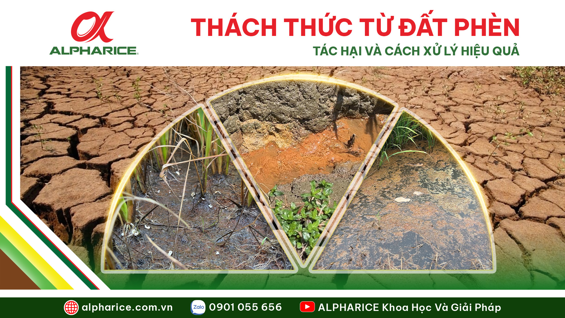 CẢI TẠO ĐẤT PHÈN ZALO 25.10