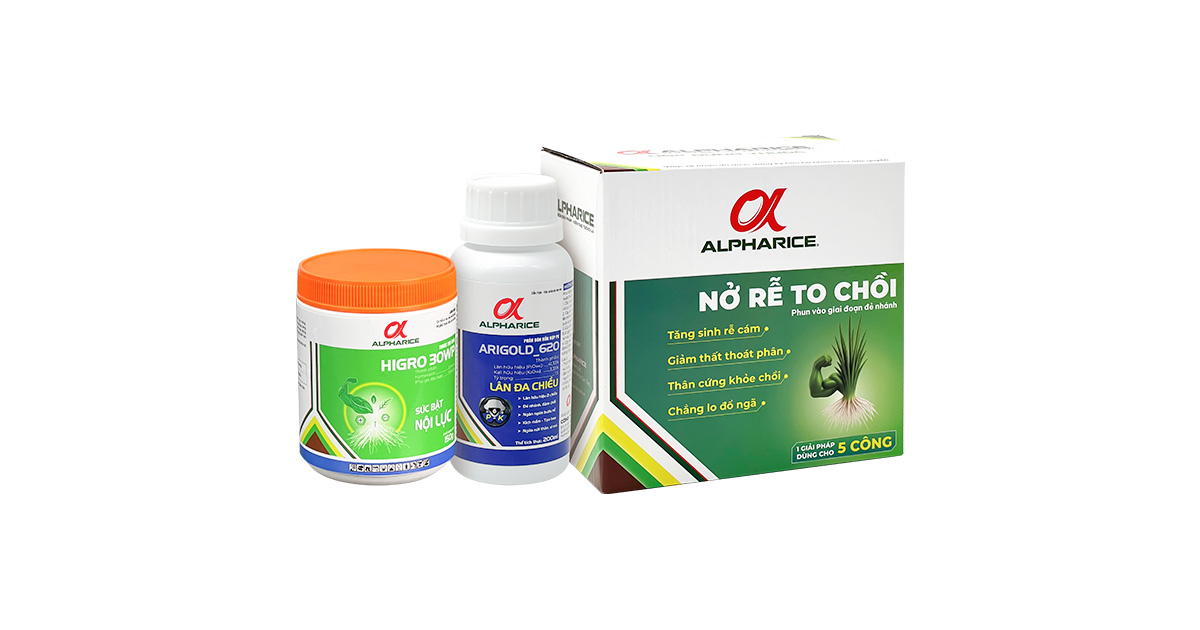 NỞ RỄ TO CHỒI