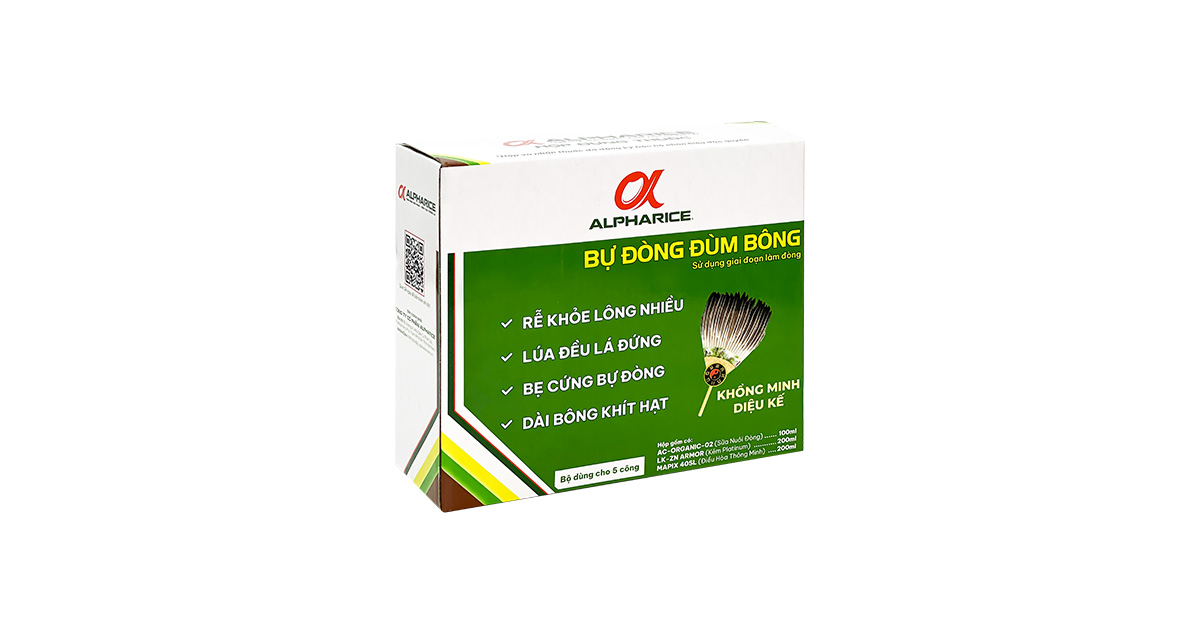 BỰ ĐÒNG ĐÙM BÔNG