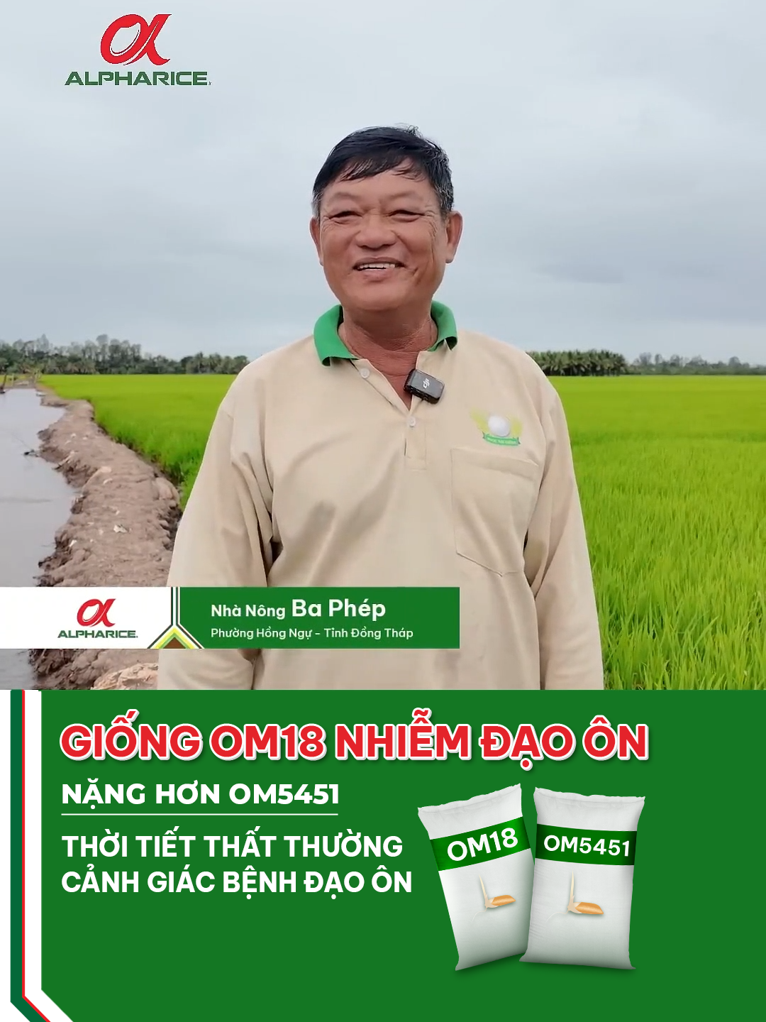 THỜI TIẾT THẤT THƯỜNG CẢNH GIÁC BỆNH ĐẠO ÔN