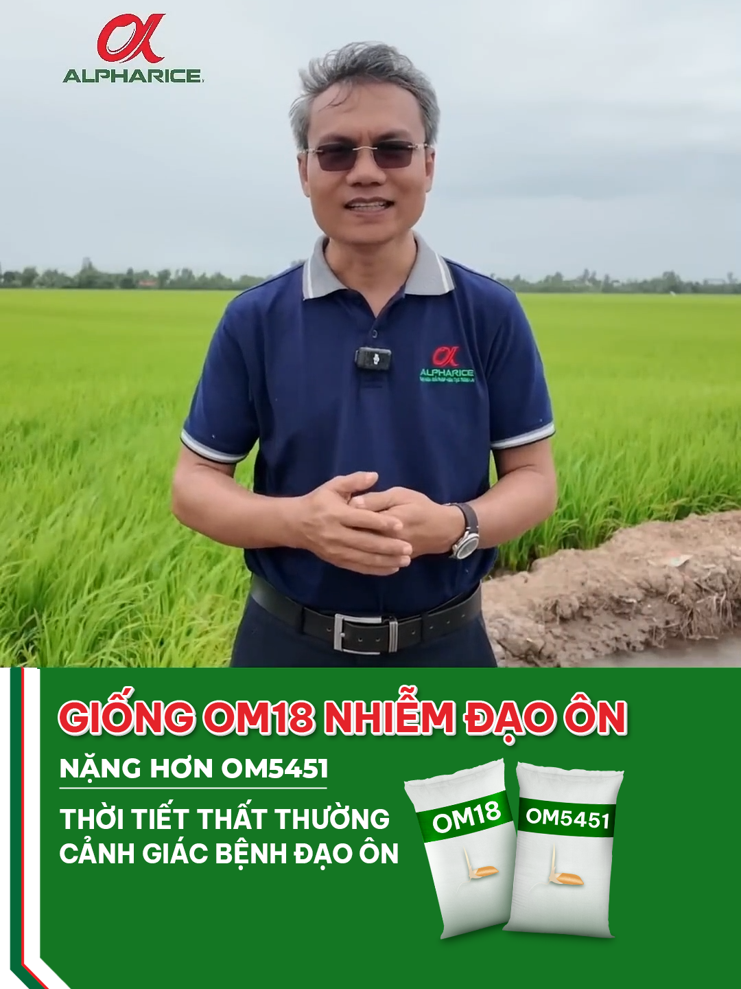 CÁCH PHÒNG NGỪA BỆNH ĐẠO ÔN