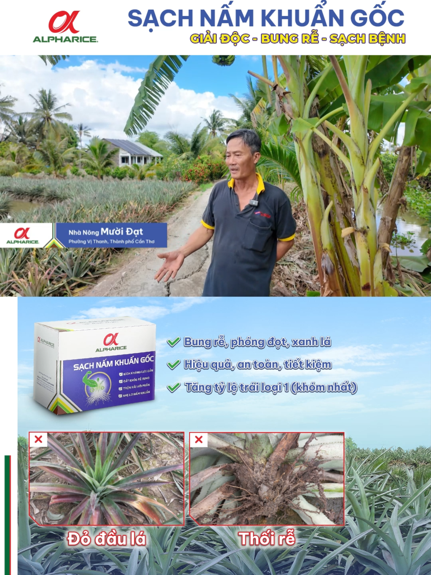NHÀ NÔNG ĐÁNH GIÁ VỀ BỘ SẢN PHẨM SẠCH NẤM KHUẨN GỐC TRÊN KHÓM