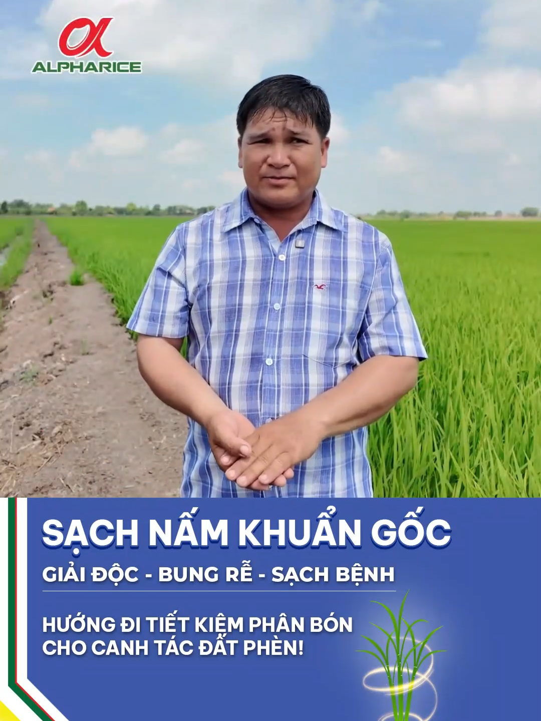 HƯỚNG ĐI TIẾT KIỆM PHÂN BÓN CHO CANH TÁC ĐẤT PHÈN!