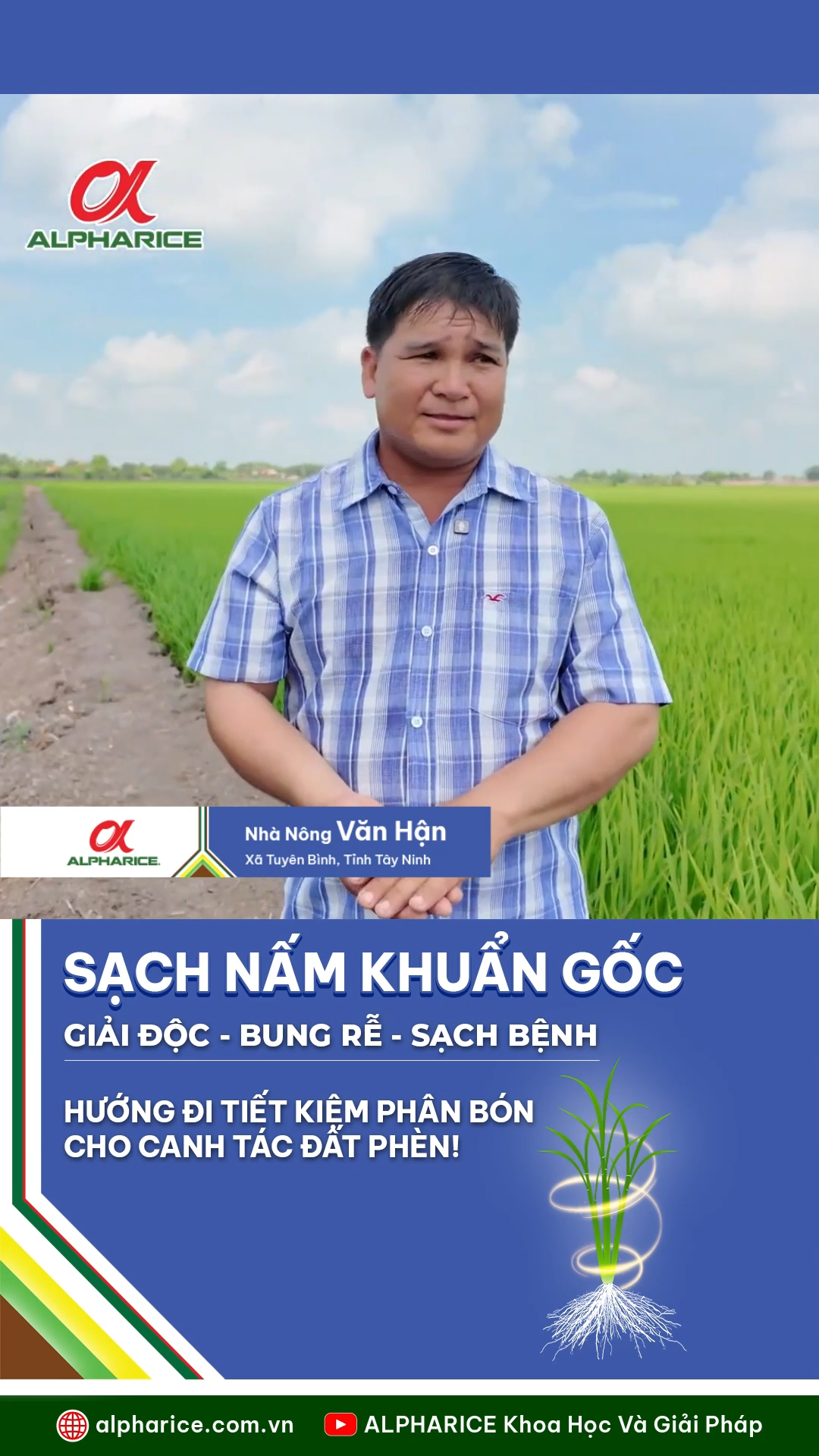HƯỚNG ĐI TIẾT KIỆM PHÂN BÓN CHO CANH TÁC ĐẤT PHÈN!