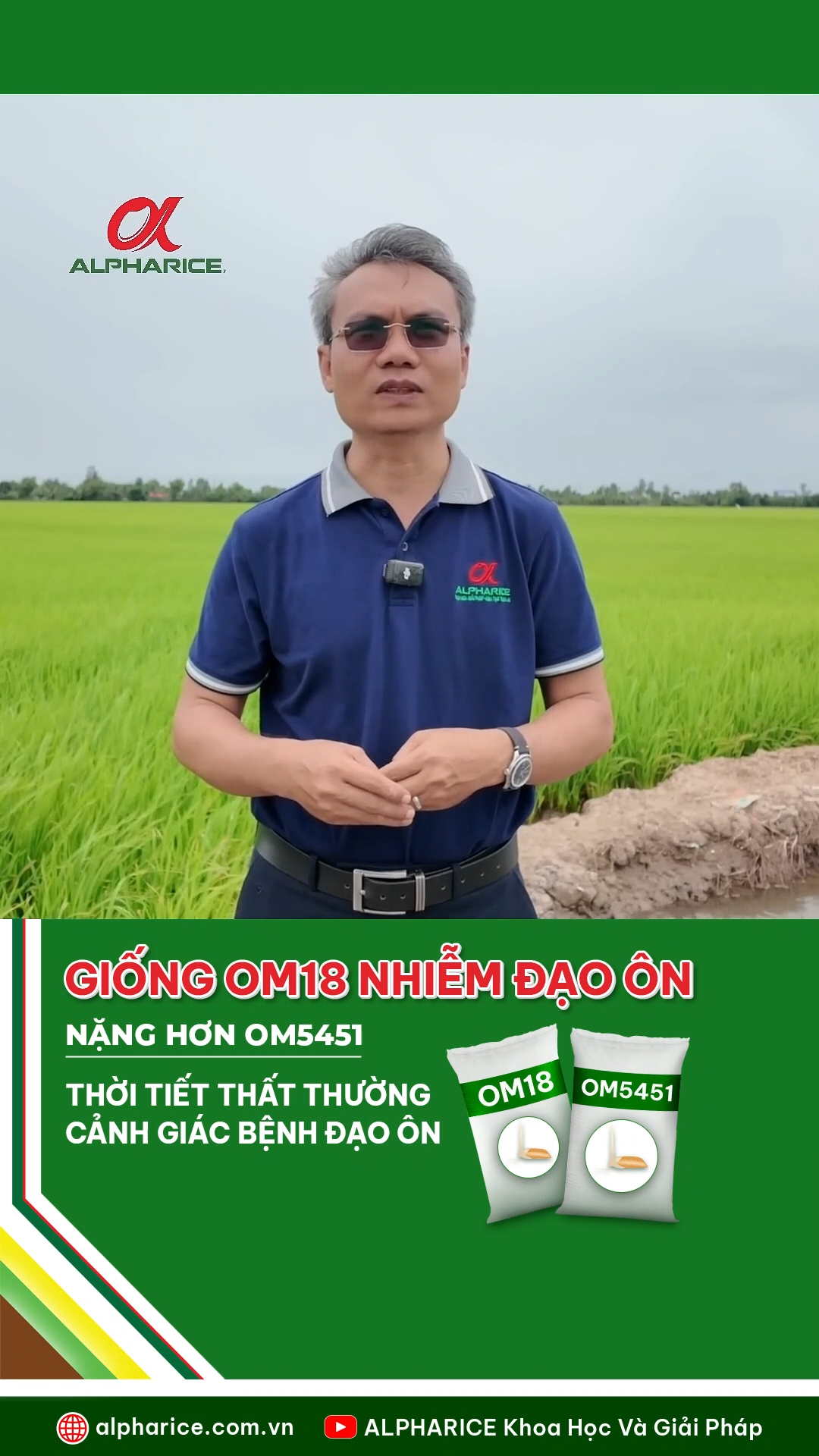 CÁCH PHÒNG NGỪA BỆNH ĐẠO ÔN