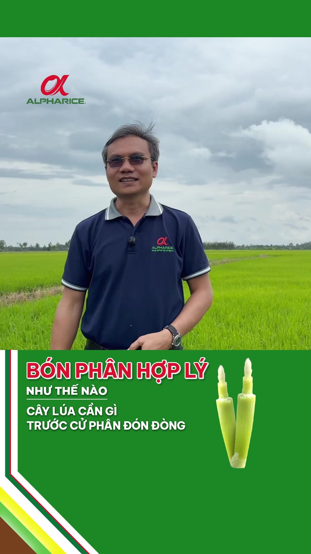 BÓN PHÂN HỢP LÝ NHƯ THẾ NÀO?