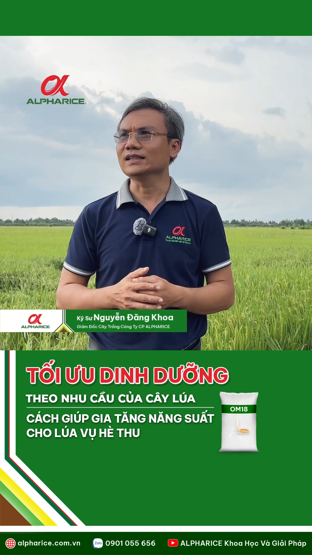 TỐI ƯU DINH DƯỠNG THEO NHU CẦU CỦA CÂY LÚA?