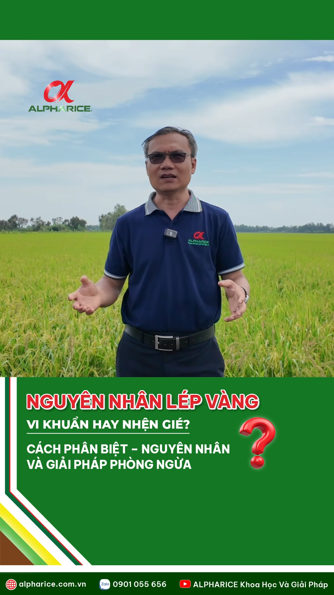 NGUYÊN NHÂN GÂY LÉP VÀNG, VI KHUẨN HAY NHỆN GIÉ
