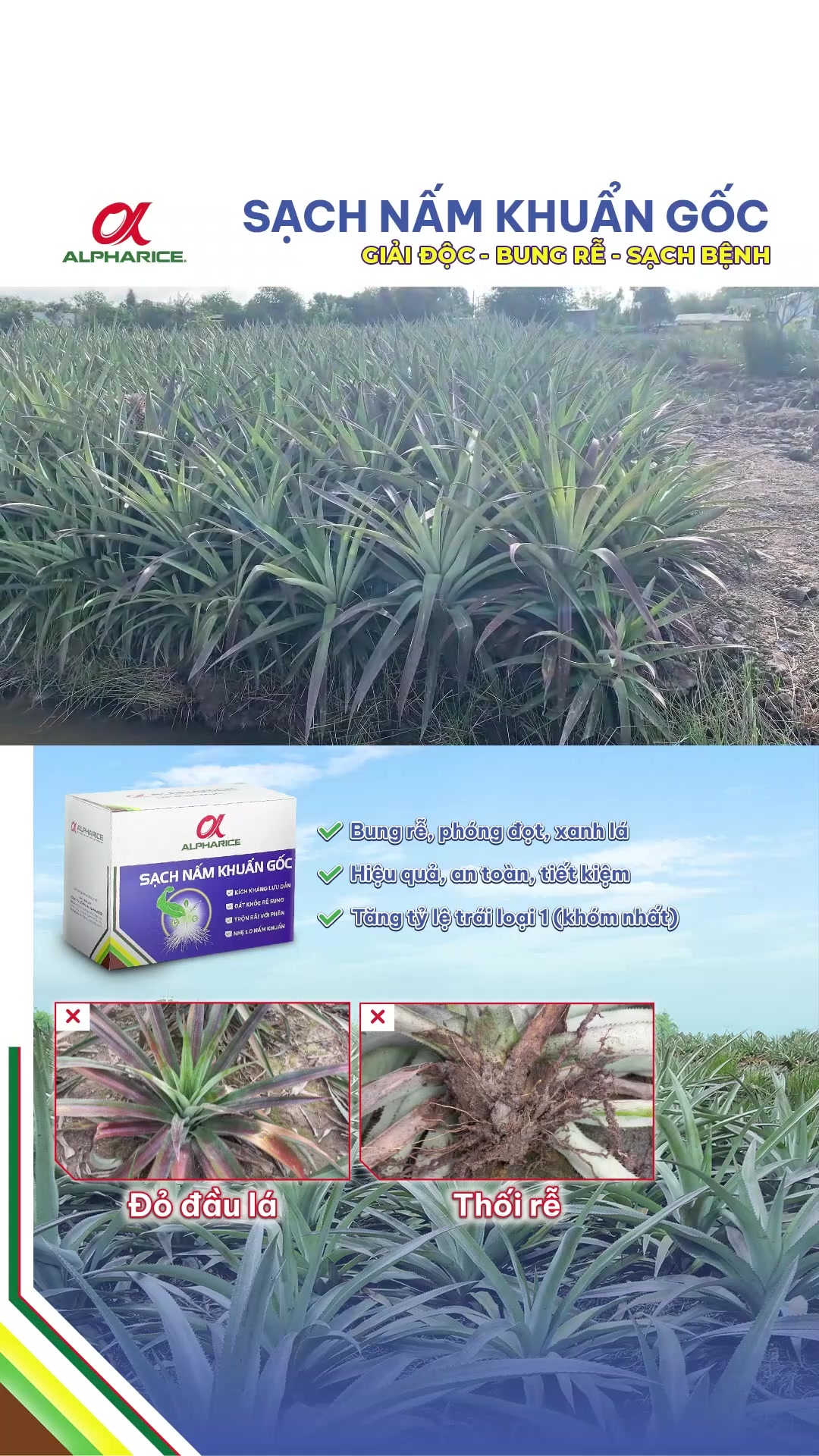 Khóc cái gì mà toàn thoát xuống đìa?