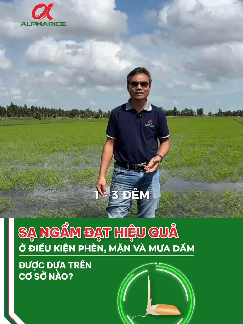 Sạ ngầm cần điều kiện gì?