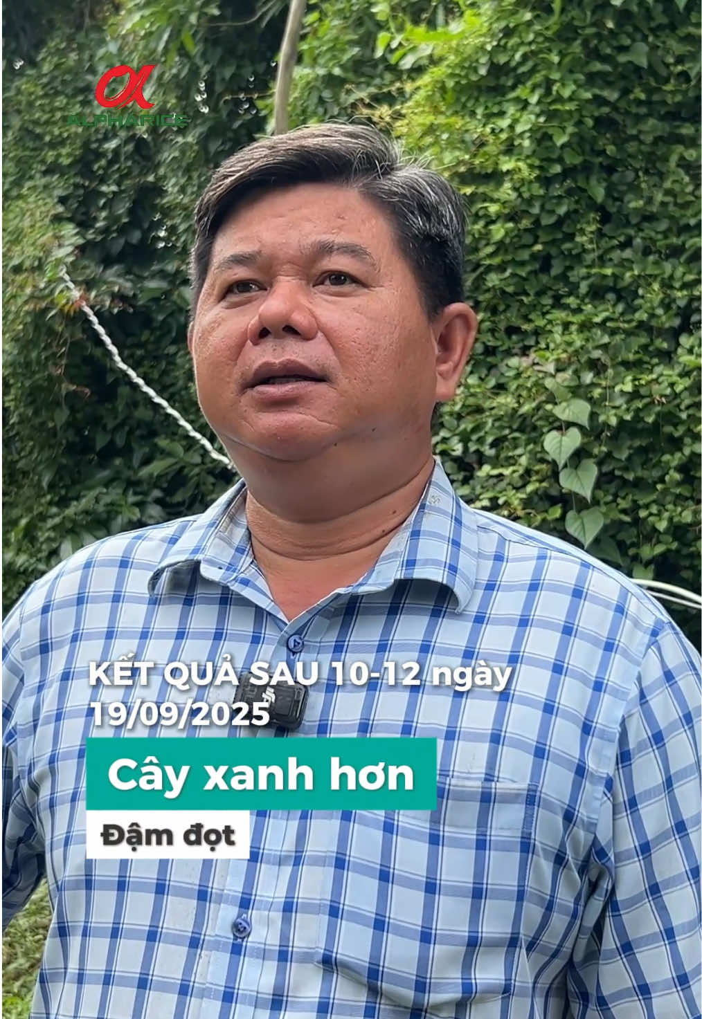 Ghi nhận hiệu quả sử dụng của sản phẩm SẠCH NẤM KHUẨN GỐC