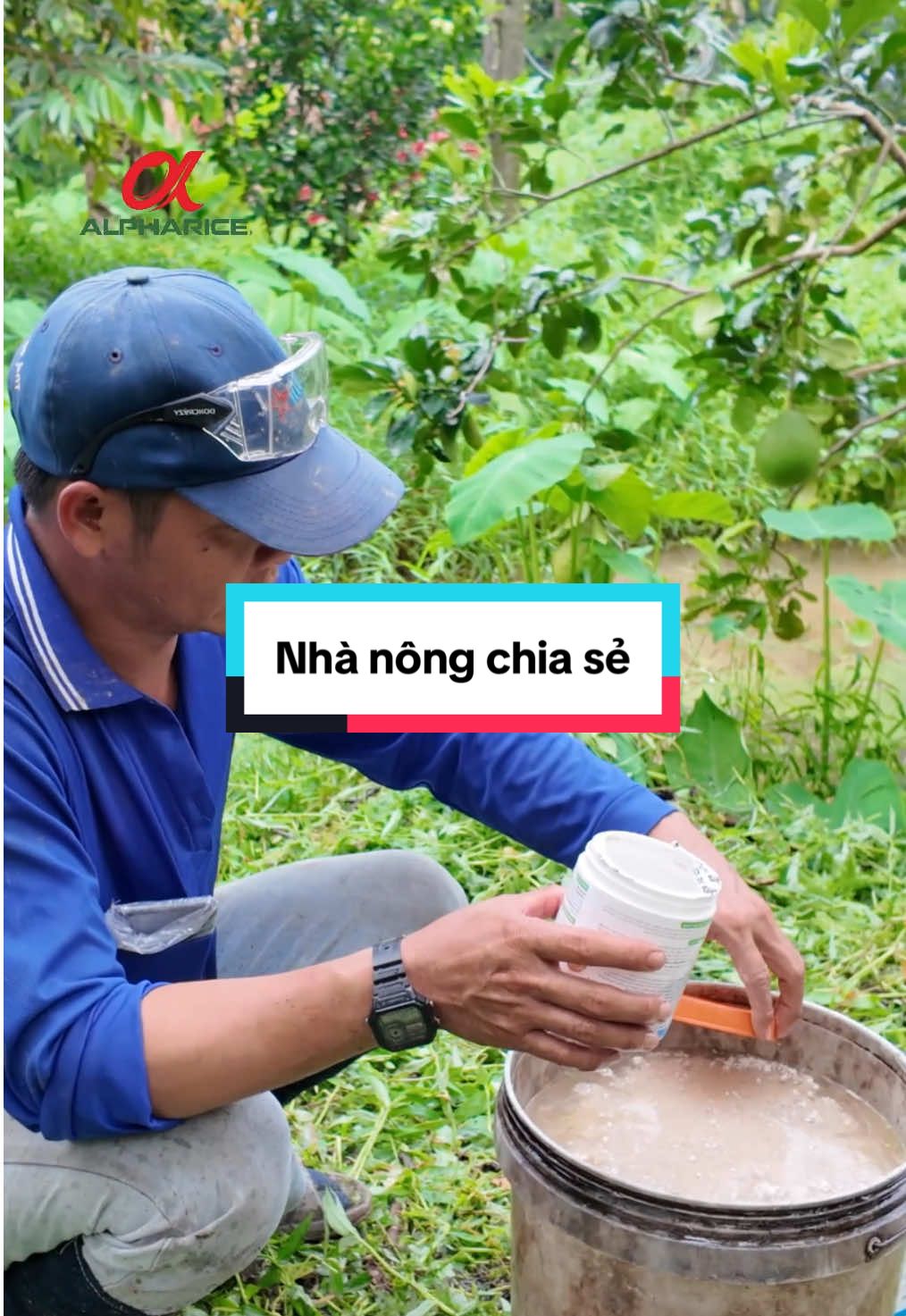 Nhà nông chia sẻ sau khi sử dụng SẠCH NẤM KHUẨN GỐC