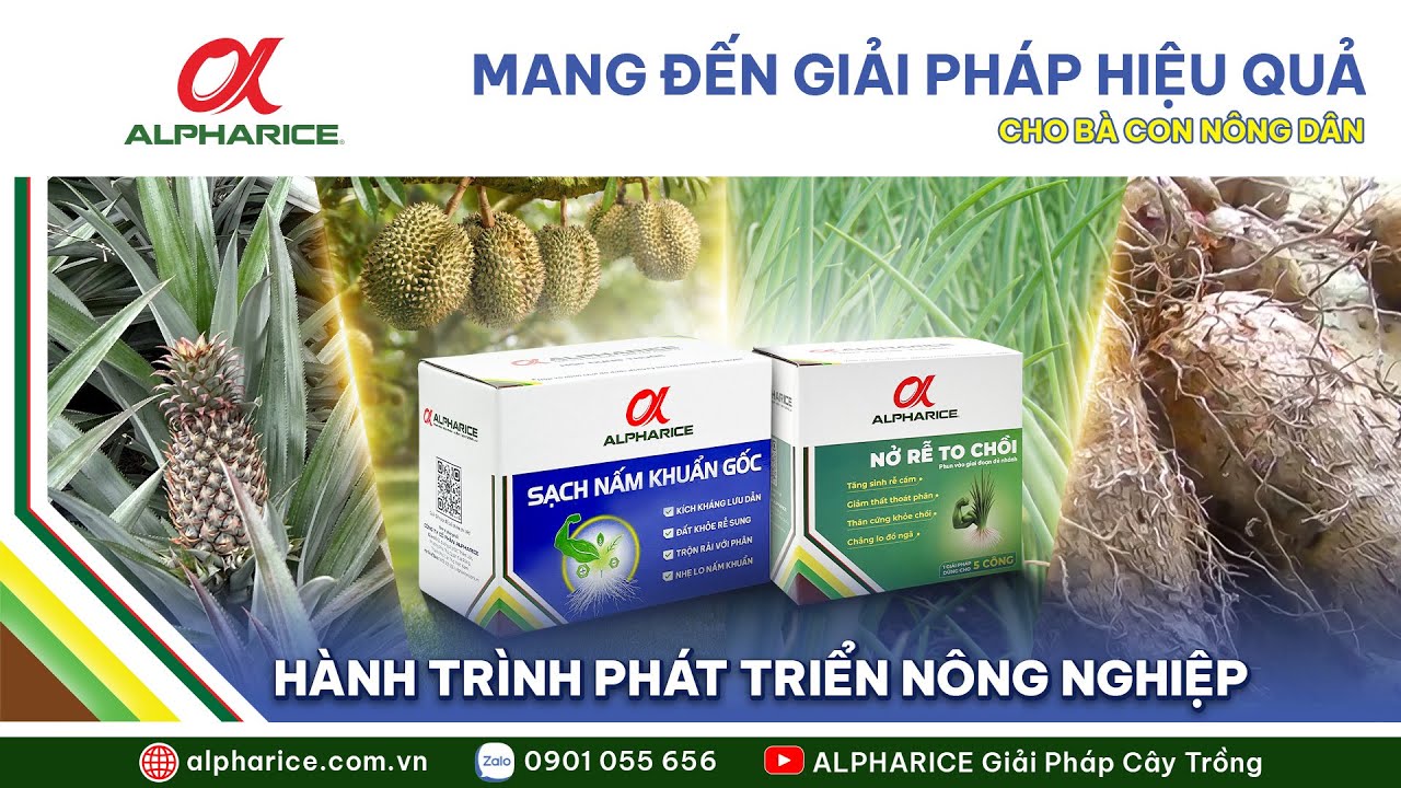 HÀNH TRÌNH PHÁT TRIỂN NÔNG NGHIỆP VỚI NHỮNG GIẢI PHÁP THIẾT THỰC CHO BÀ CON NÔNG DÂN