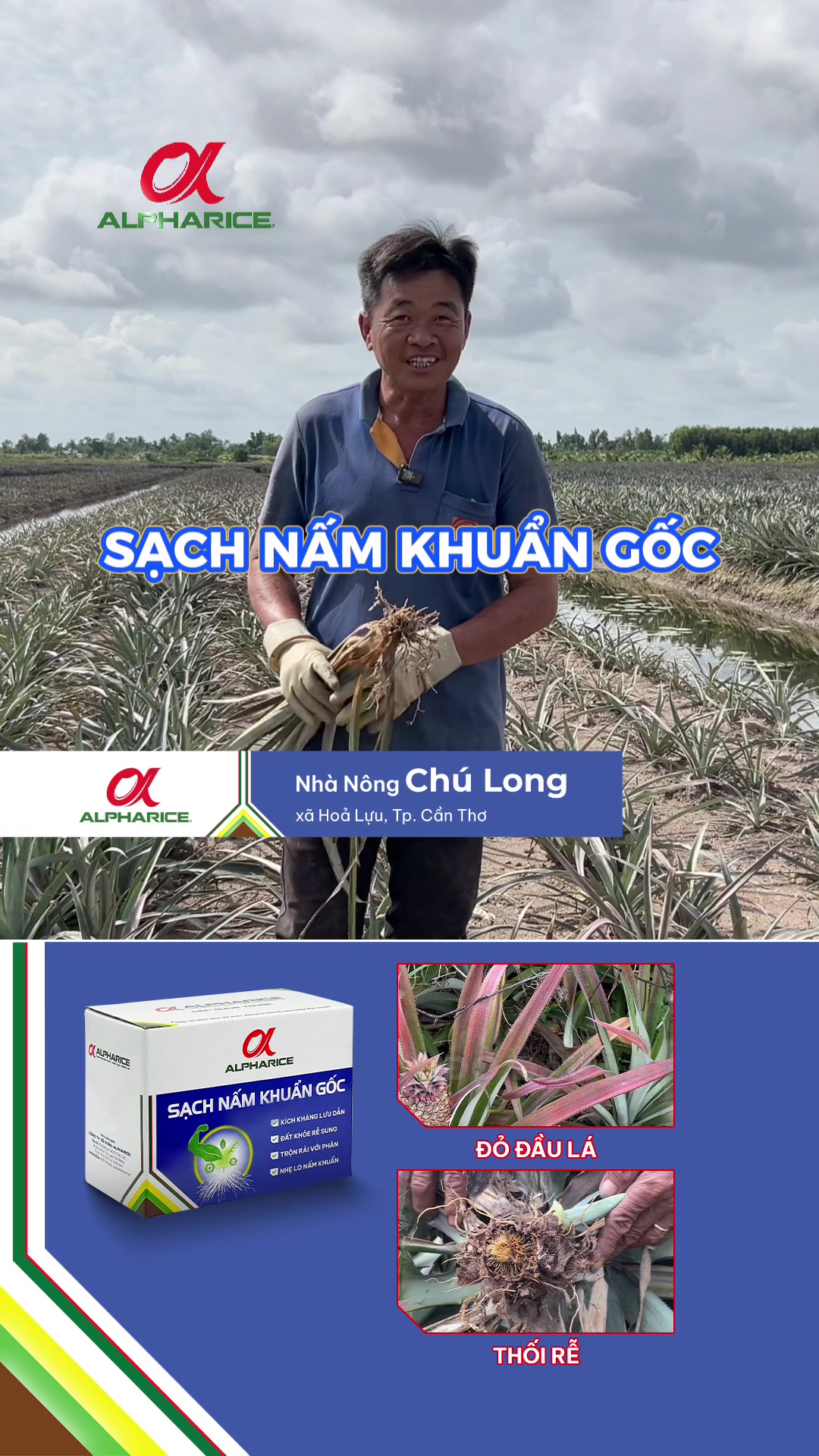 Sau 4 tuần sử dụng SẠCH NẤM KHUẨN GỐC bà con nhận xét như thế nào?