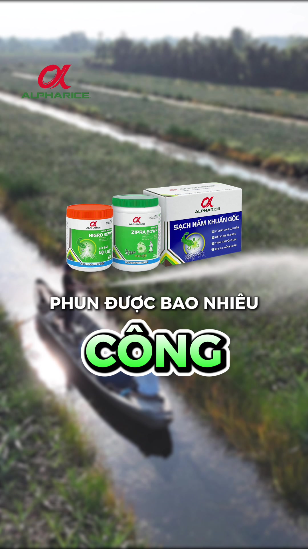Một bộ Sạch Nấm Khuẩn Gốc phun được bao nhiêu công khóm?