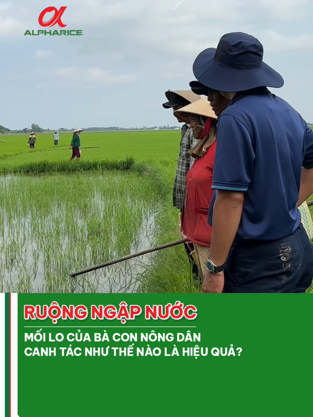 Ruộng ngập nước, nổi lo trăn trở của bà con nông dân