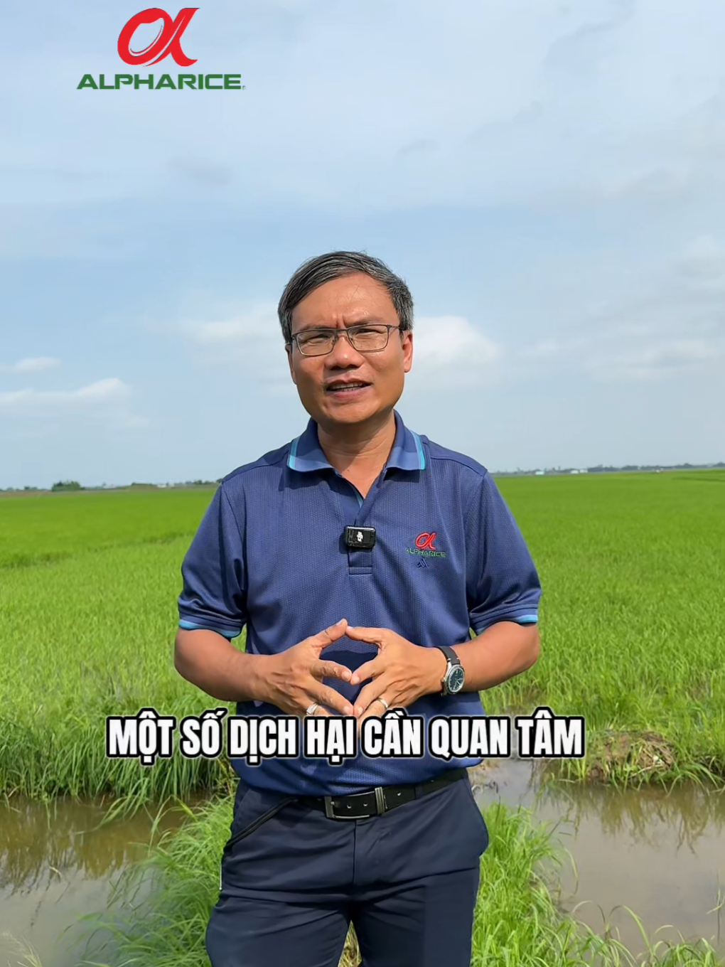 Một số dịch hại cần quan tâm ở Đông Xuân 2026 này!