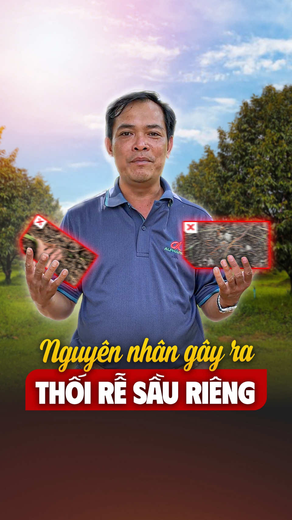 Cảnh báo nấm bệnh đang âm thầm tấn công bộ rễ