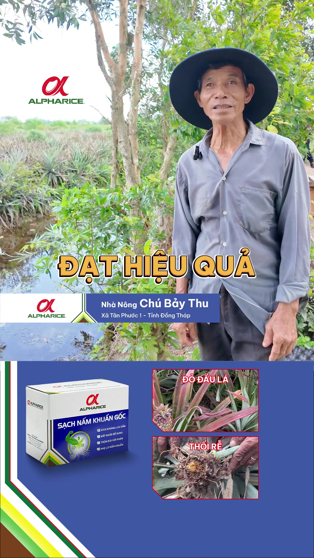 Hiệu quả của Sạch Nấm Khuẩn Gốc qua nhận xét của bà con ra sao?