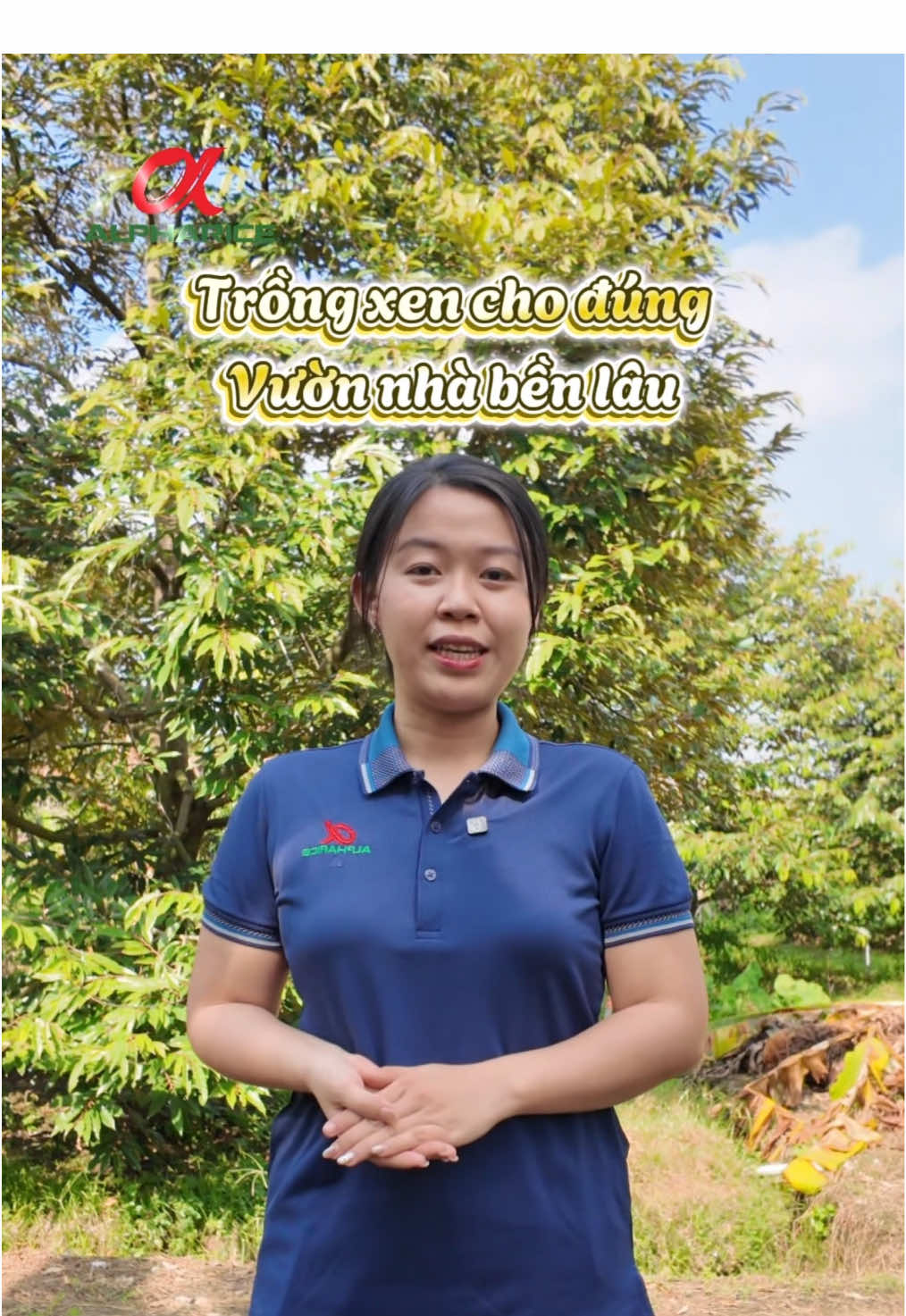 Trồng xen cây gì vào vườn Sầu Riêng để tăng kinh tế cho bà con nhà vườn mình?