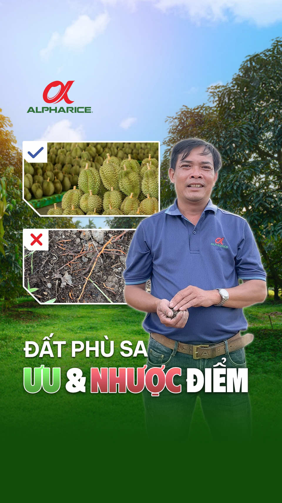 Ưu và nhược điểm của đất phù sa khi trồng sầu riêng