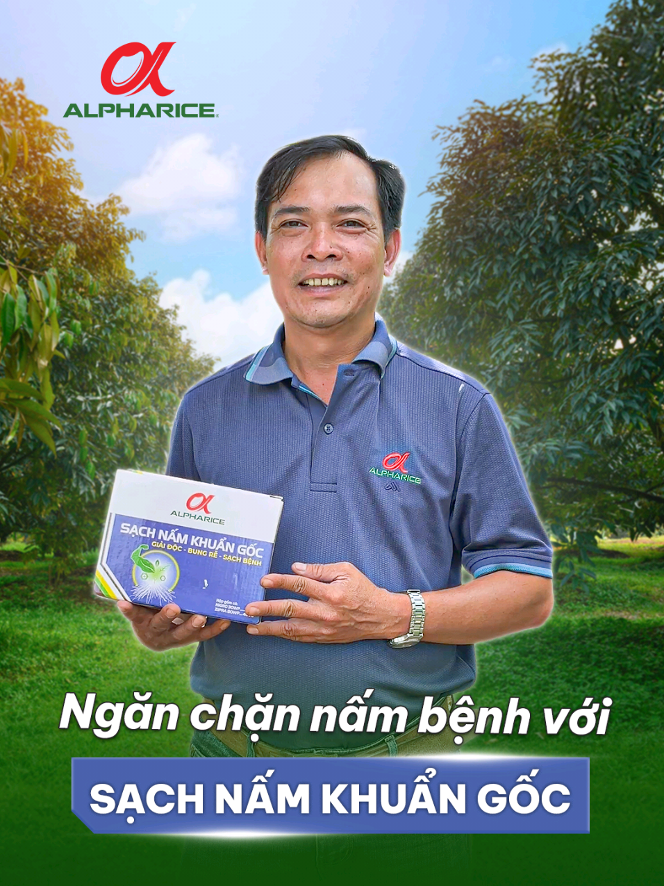 Những điều kiện của đất trồng giúp cây riêng phát triển sức khỏe