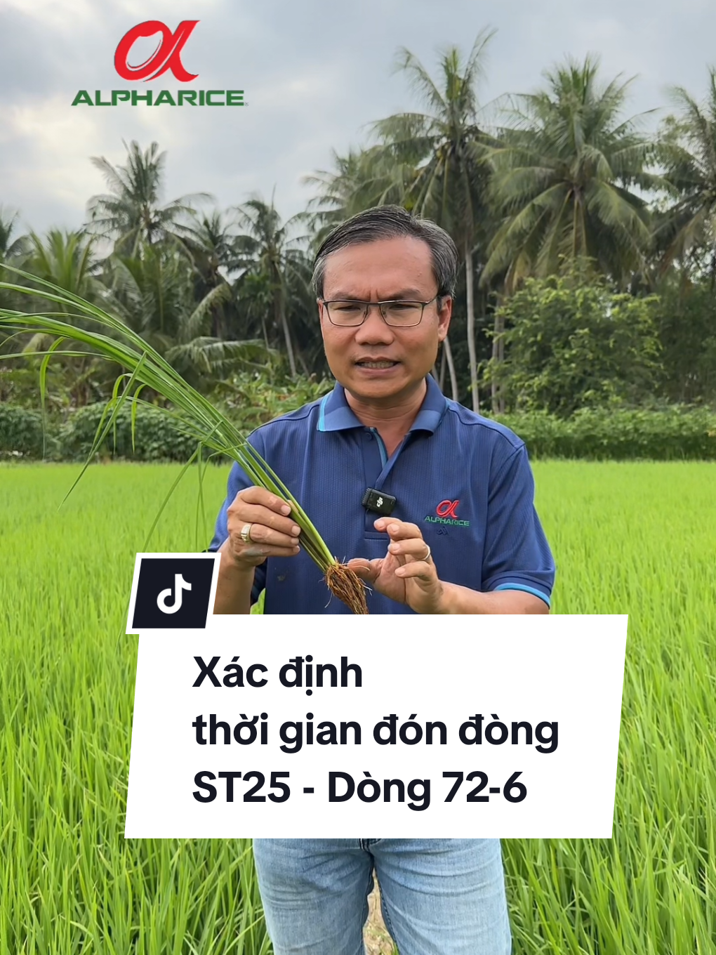 Xác định thời điểm đón đòn của ST25 Dòng 72-6