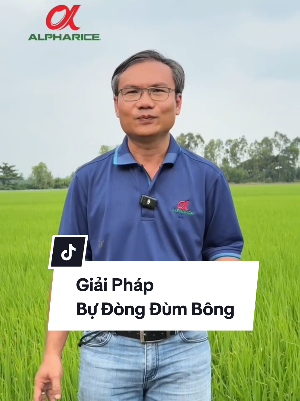 Cần phun Giải Pháp Bự Đông Dòng Bông Bông như thế nào?