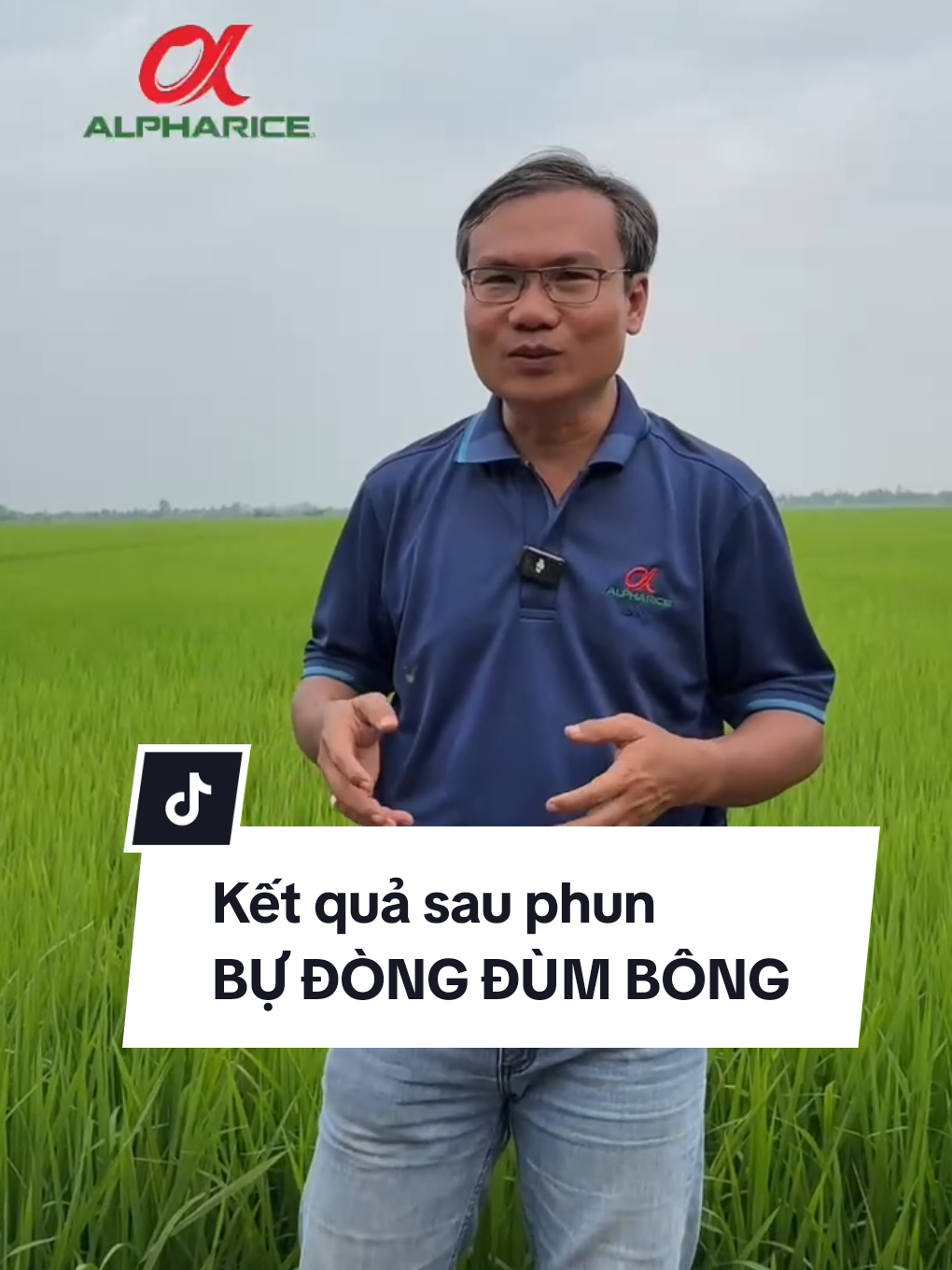 Phun Bự Đông Dòng Bông Bông sau bao nhiêu ngày thì có sự khác biệt?