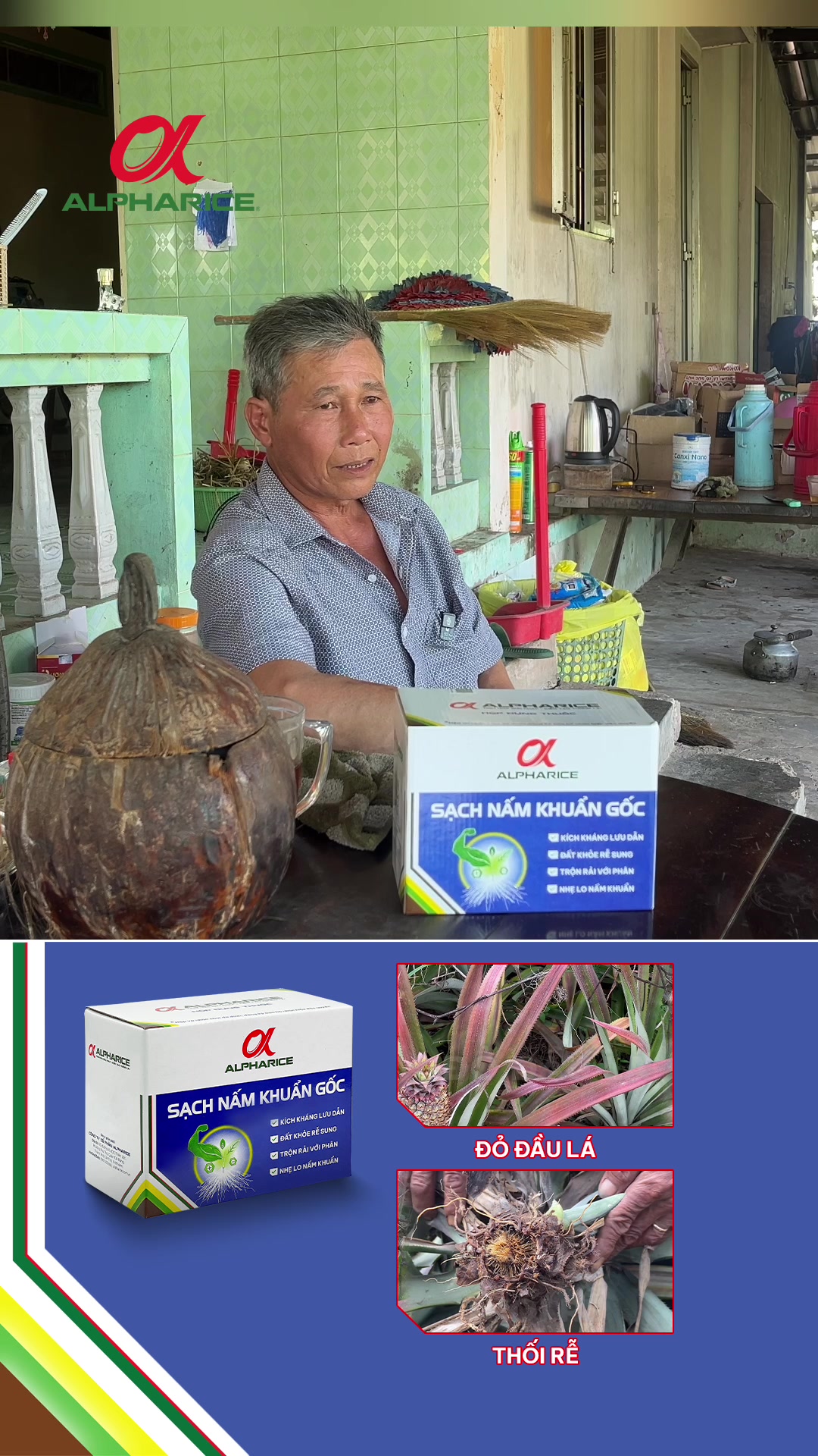 Trải nghiệm thực tế giúp vườn khóm giảm đỏ lá, thối rễ