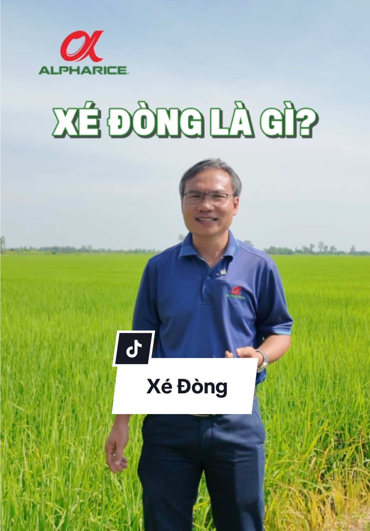 Xé Đòng là gì? Tại sao cần thao tác này trong giai đoạn làm đòng