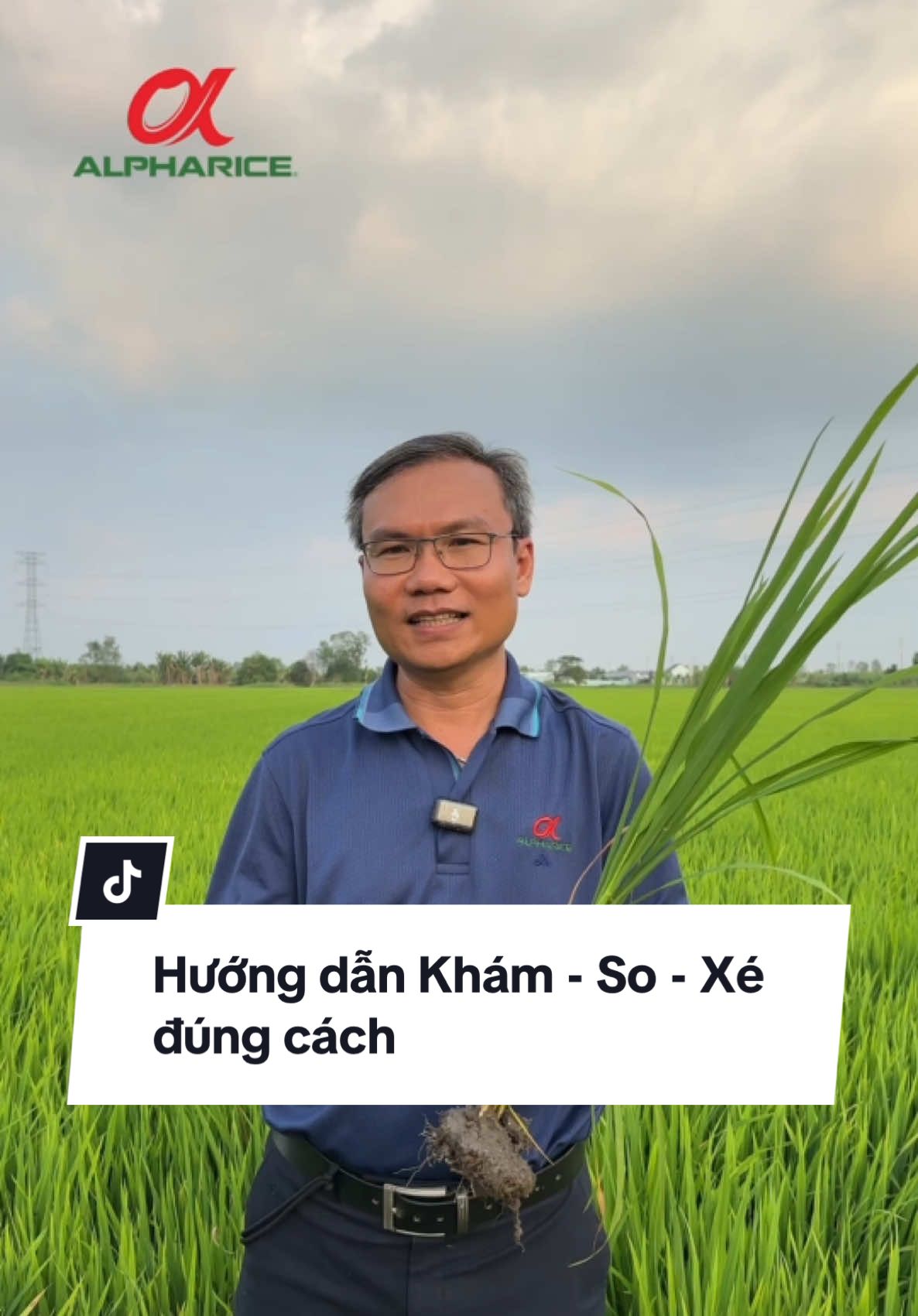 Hướng dẫn thực hiện thao tác “Khám - So - Xé” “7-15-21” đúng cách sau khi phun Bự Đòng Đùm Đùm Bông