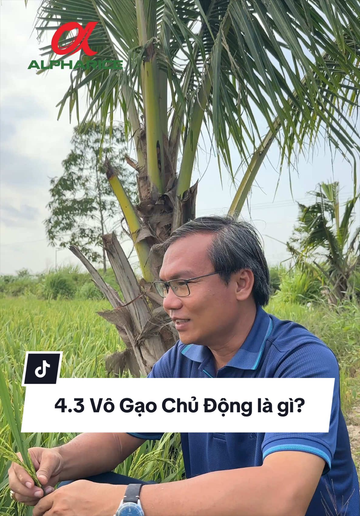 Vô gạo chủ động là gì?