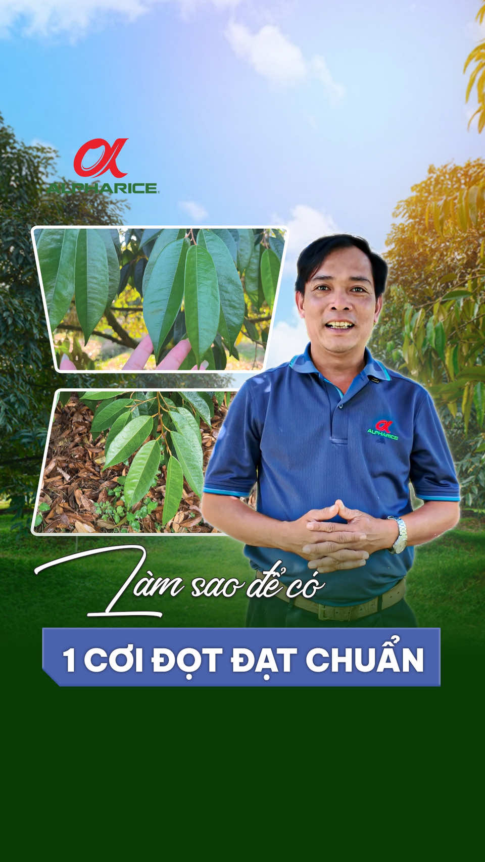 Làm sao để có 1  cơi đọt đạt chuẩn