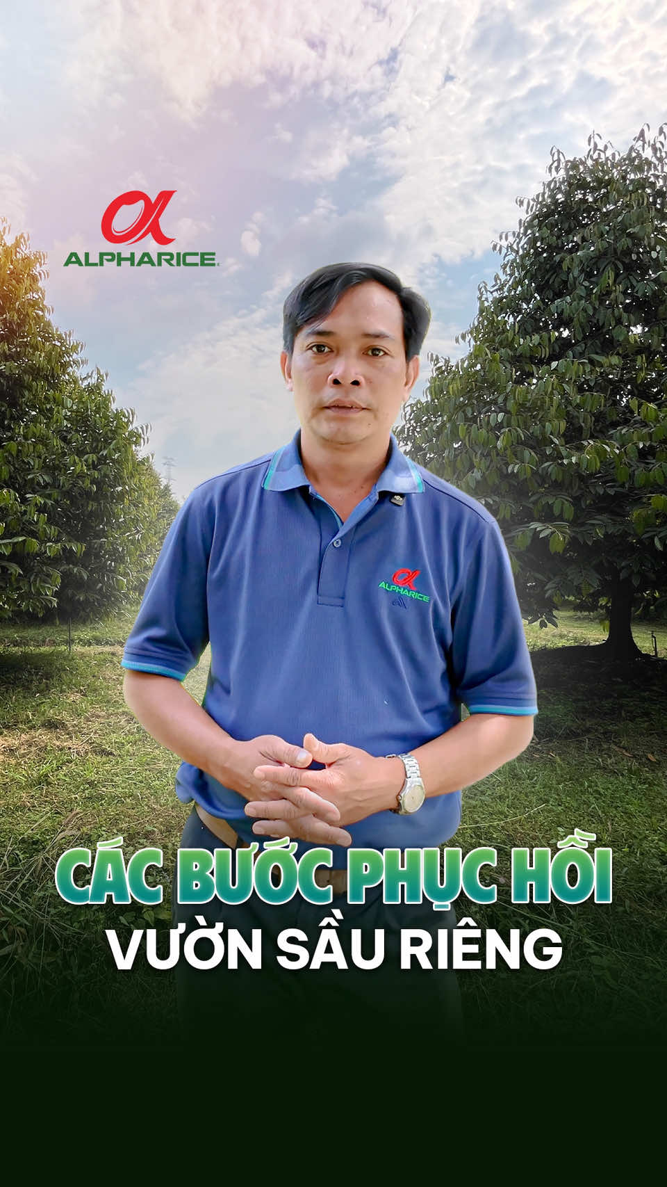 Các bước phục hồi vườn sầu riêng