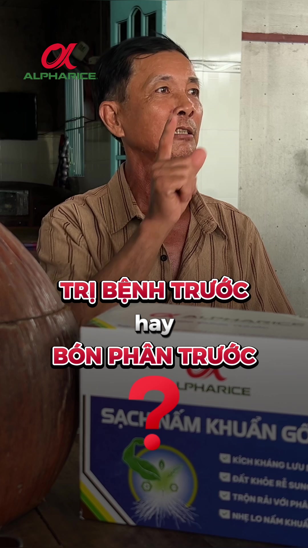 Nên trị bệnh trước hay bón phân trước khi khóm bệnh đỏ lá, thối rễ