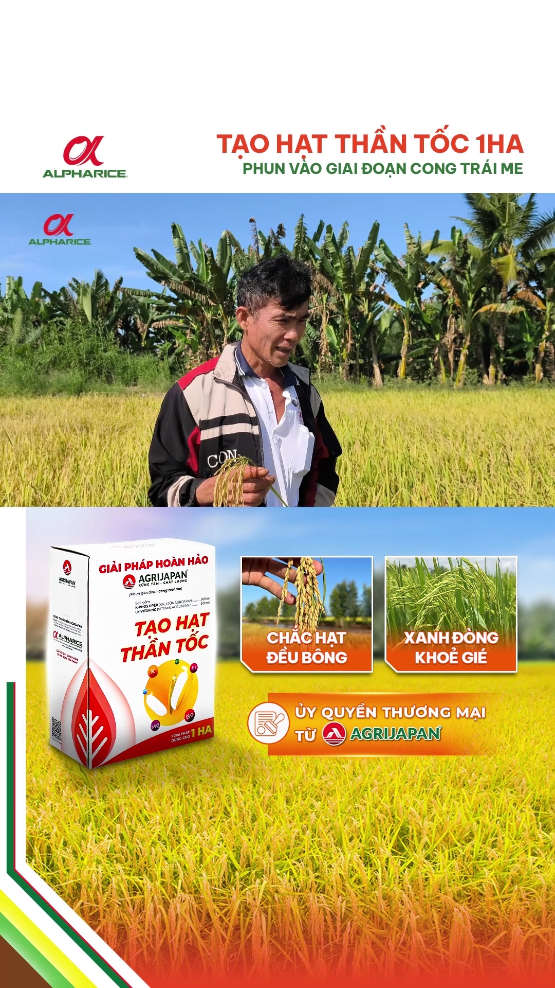 VÔ GẠO NHƯ Ý - HẠT NẶNG MÊ LY