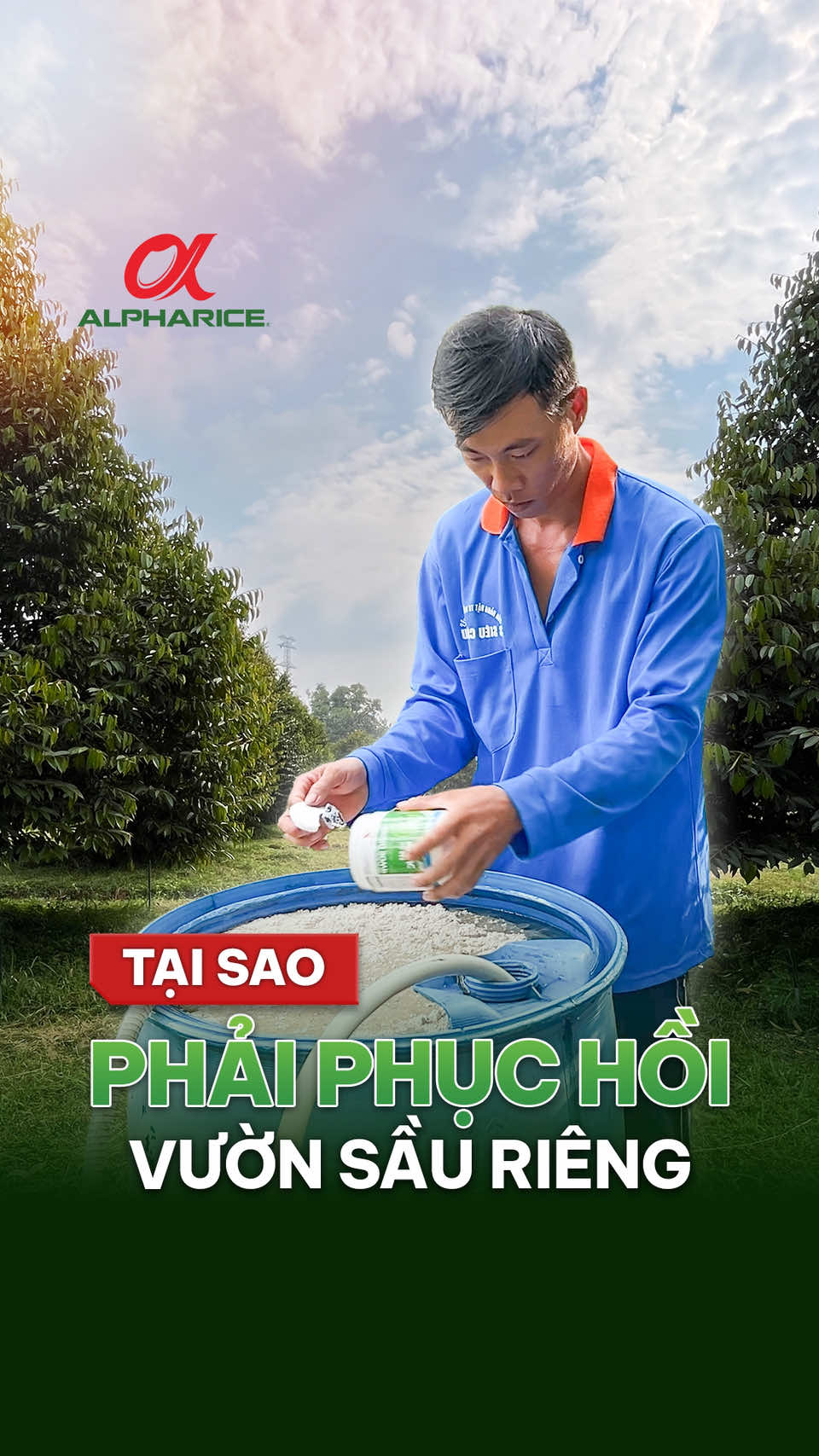 Tại sao phải phục hồi vườn sầu riêng
