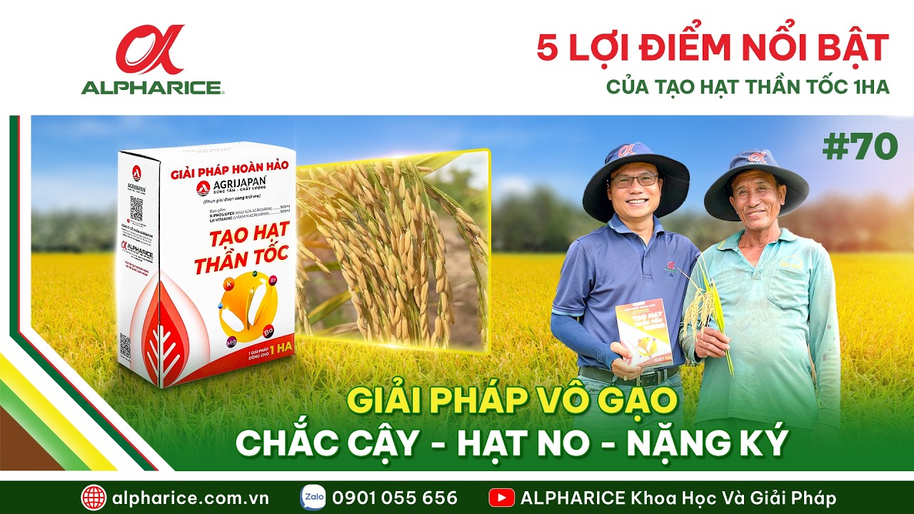 5 LỢI ĐIỂM NỔI BẬT CỦA TẠO HẠT THẦN TỐC 1HA - GIẢI PHÁP VÔ GẠO THẦN TỐC